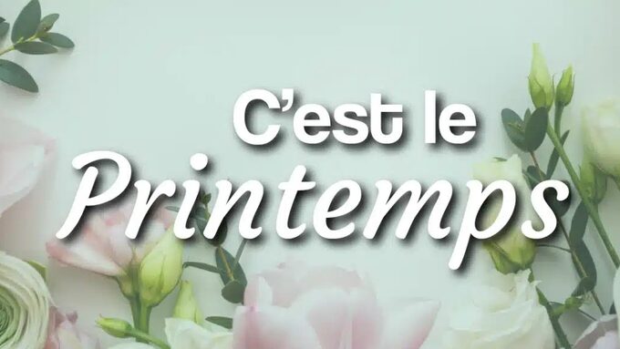 printemps-fleurs-web_couverture-facebook-1536x584.jpg